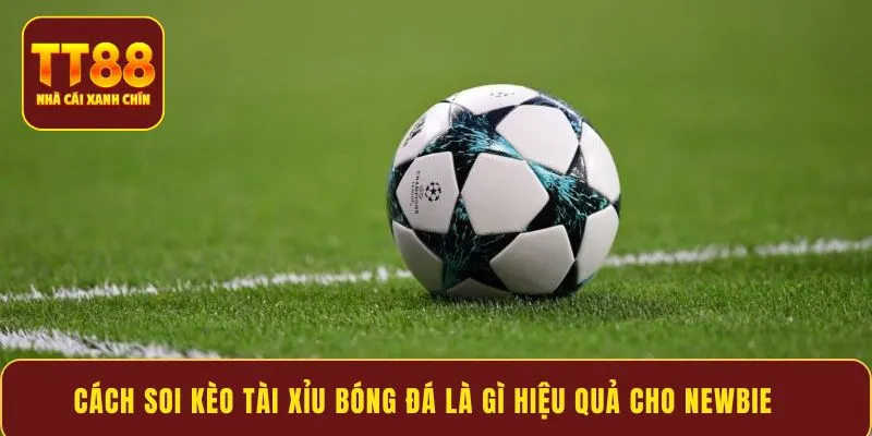 Cách soi kèo tài xỉu bóng đá là gì hiệu quả cho newbie
