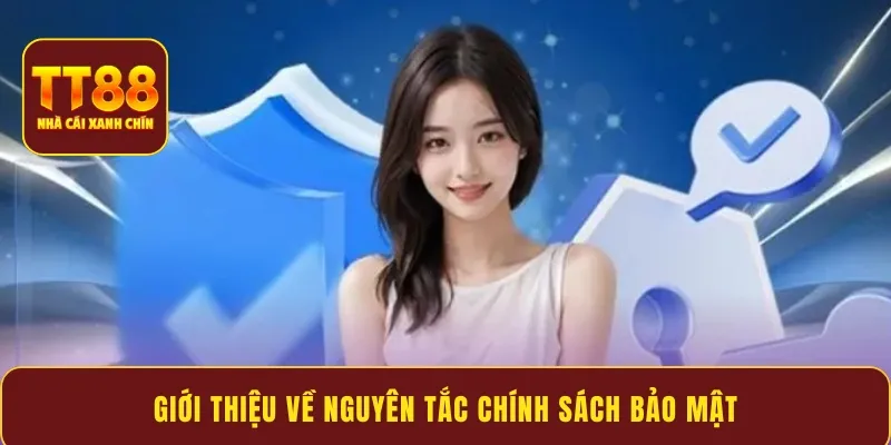 Giới thiệu về nguyên tắc chính sách bảo mật